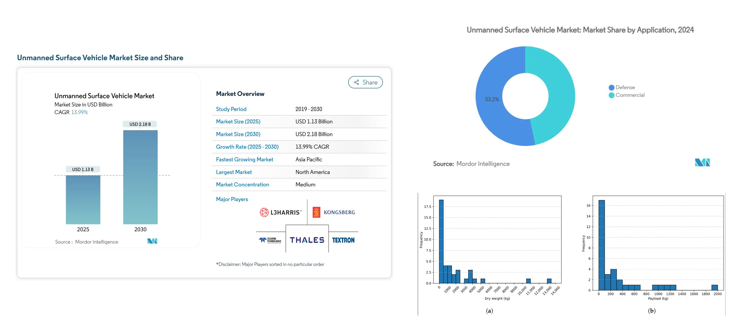 USV Market Size and Distribution